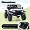 Kids Electric Ride-On Car 24V Battery LED Lights Music Remote Control